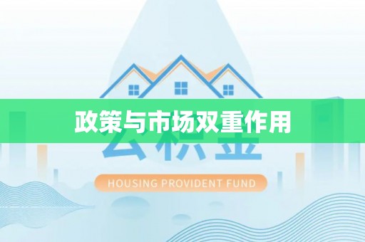 全流程政策与市场双重作用