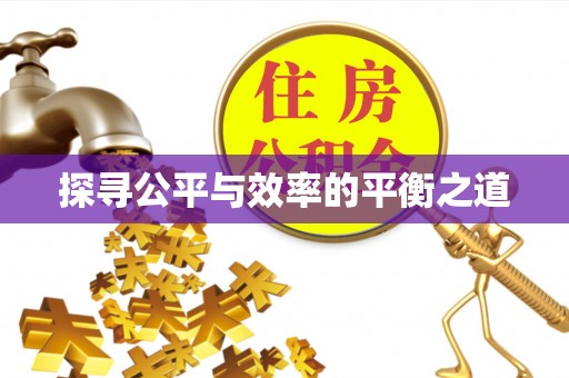 全流程探寻公平与效率的平衡之道
