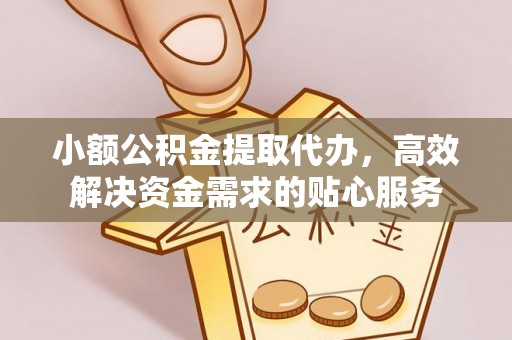 全流程小额公积金提取代办，高效解决资金需求的贴心服务