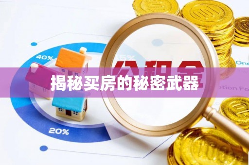 全流程揭秘买房的秘密武器