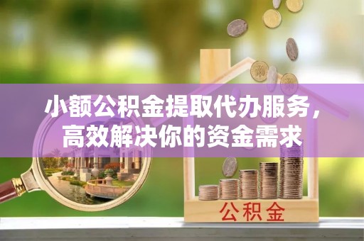 全流程小额公积金提取代办服务，高效解决你的资金需求