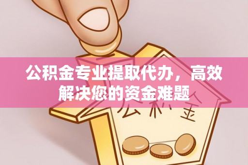全流程公积金专业提取代办，高效解决您的资金难题