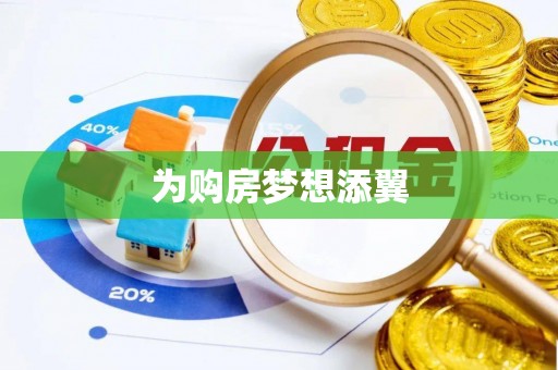 全流程为购房梦想添翼