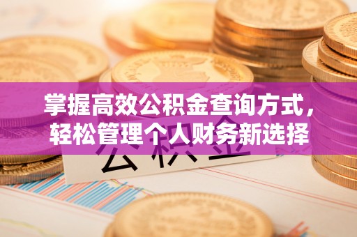 全流程掌握高效公积金查询方式，轻松管理个人财务新选择