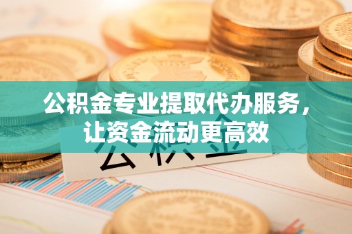 全流程公积金专业提取代办服务，让资金流动更高效