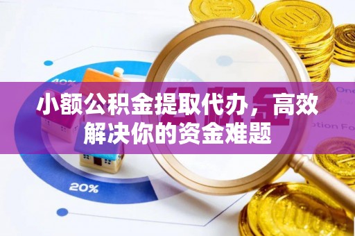 全流程小额公积金提取代办，高效解决你的资金难题