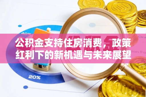 全流程公积金支持住房消费，政策红利下的新机遇与未来展望