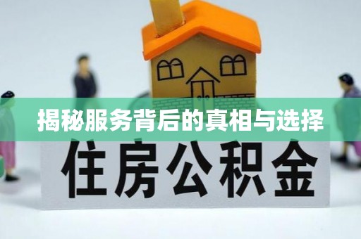 全流程揭秘服务背后的真相与选择