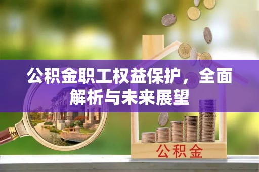 全流程公积金职工权益保护，全面解析与未来展望