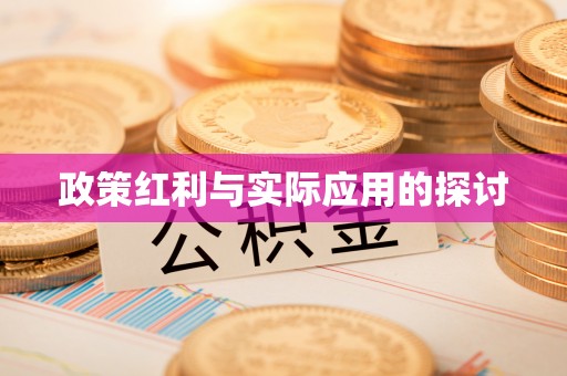 全流程政策红利与实际应用的探讨