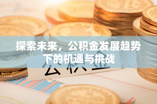 全流程探索未来，公积金发展趋势下的机遇与挑战