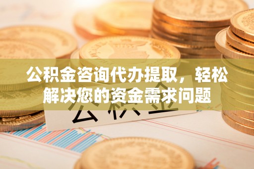 全流程公积金咨询代办提取，轻松解决您的资金需求问题