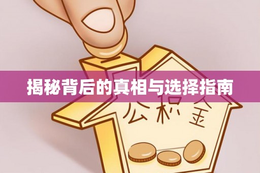 全流程揭秘背后的真相与选择指南