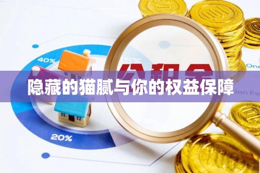 全流程隐藏的猫腻与你的权益保障