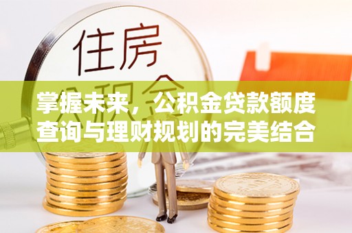 全流程掌握未来，公积金贷款额度查询与理财规划的完美结合