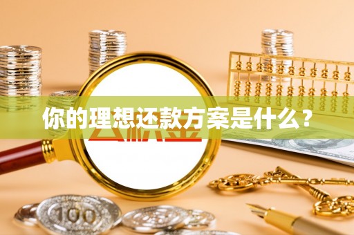 全流程你的理想还款方案是什么？