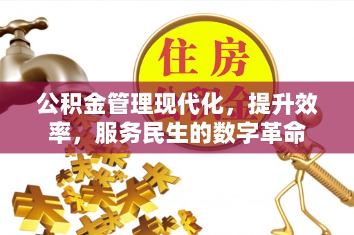 全流程公积金管理现代化，提升效率，服务民生的数字革命