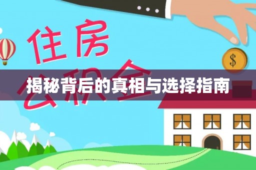 全流程揭秘背后的真相与选择指南