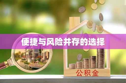 全流程便捷与风险并存的选择