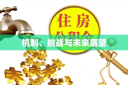 全流程机制、挑战与未来展望