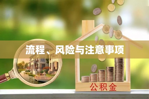 全流程流程、风险与注意事项
