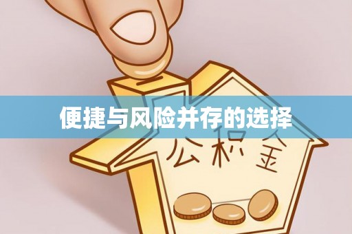 全流程便捷与风险并存的选择