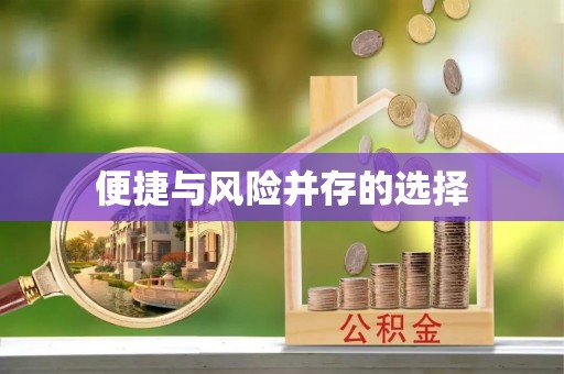 全流程便捷与风险并存的选择